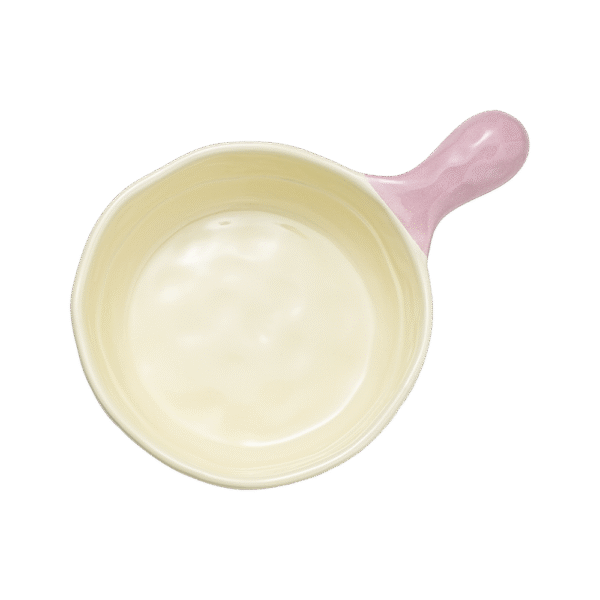 Picnic Ceramic Salad Bowl with Handle