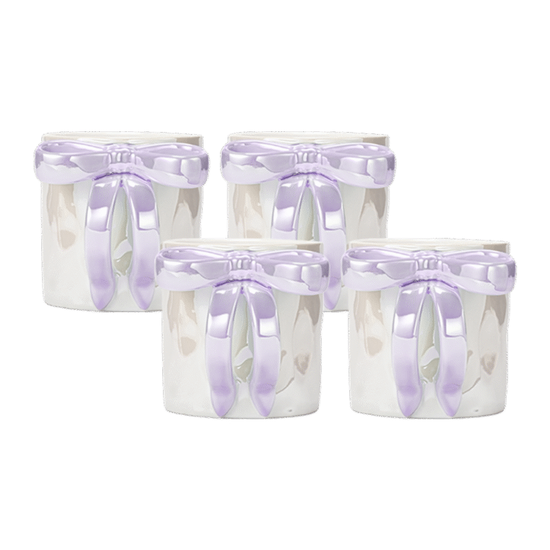 Aurora Lilac Mug Gift Set for 4