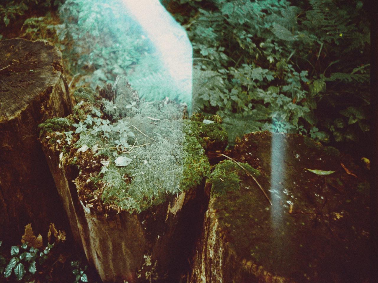 Real home hosting with Solstice tableware