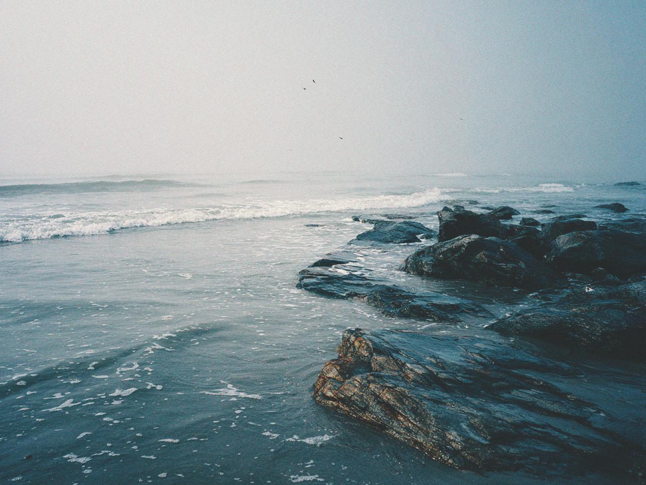 Nature-inspired tableware design