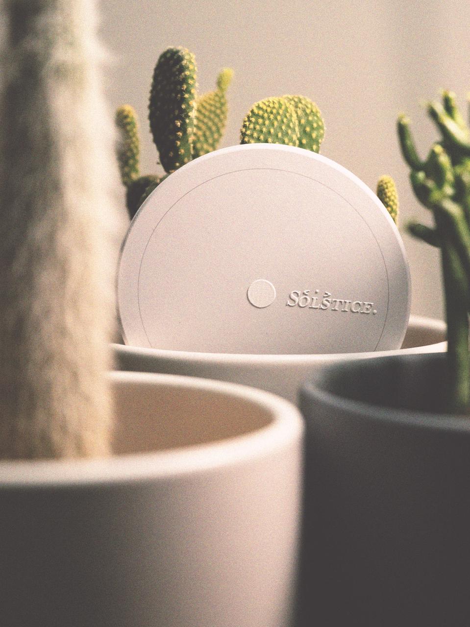 Artist collaboration on seasonal tableware