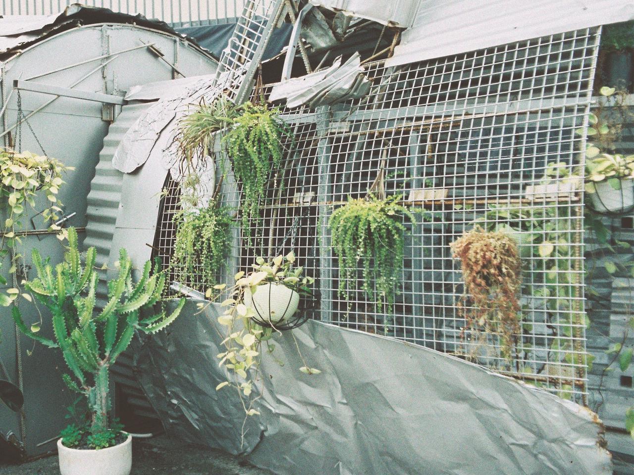 Co-creation workshop for tableware design