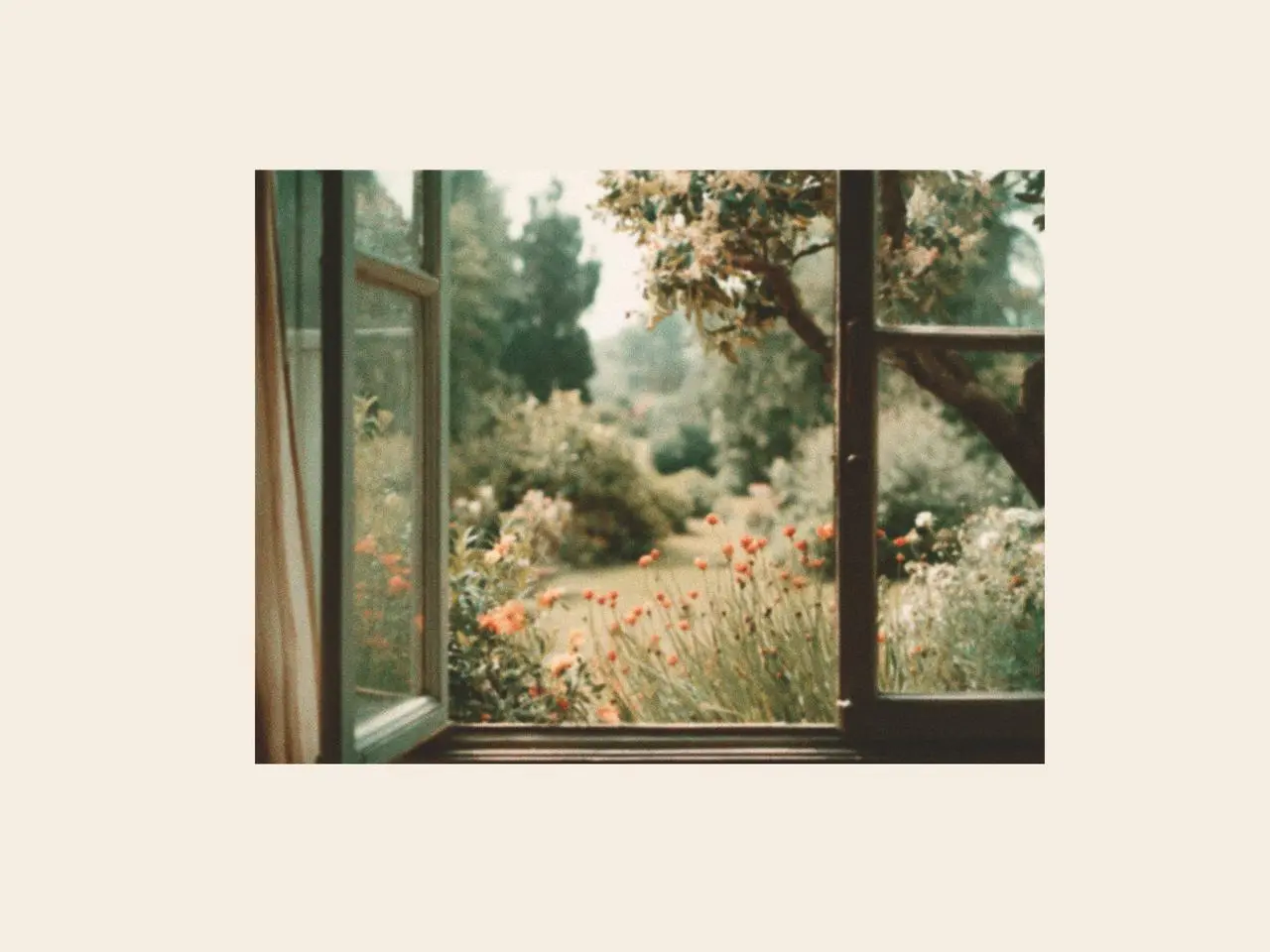 soft early springtime view of a green garden seen through an open window with blooming flowers and natural light.