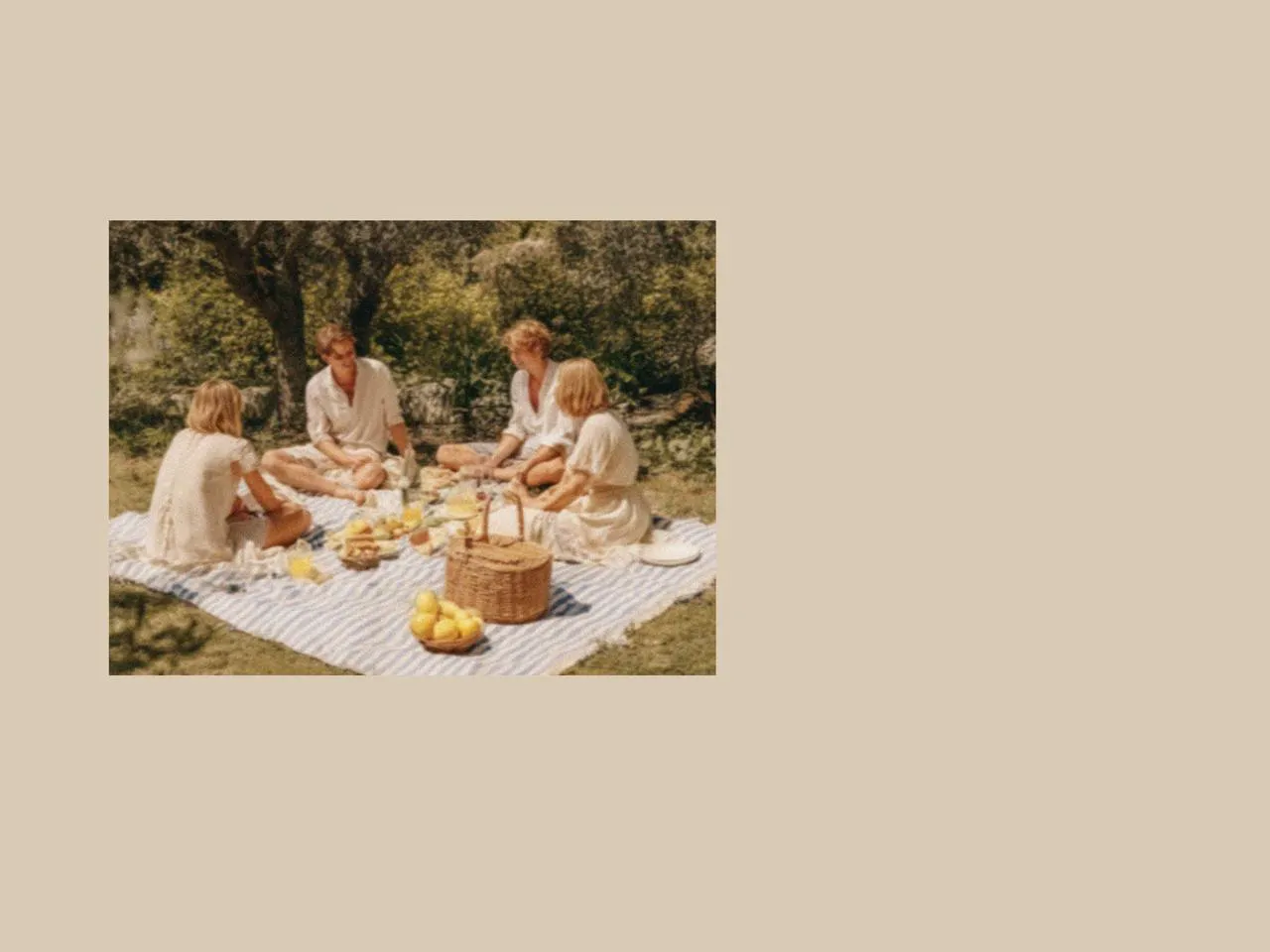 Group enjoying a family picnic on a blanket with picnic cutlery, picnic accessories, and shared dishes, creating a relaxed picnic afternoon tea setting in soft natural daylight.