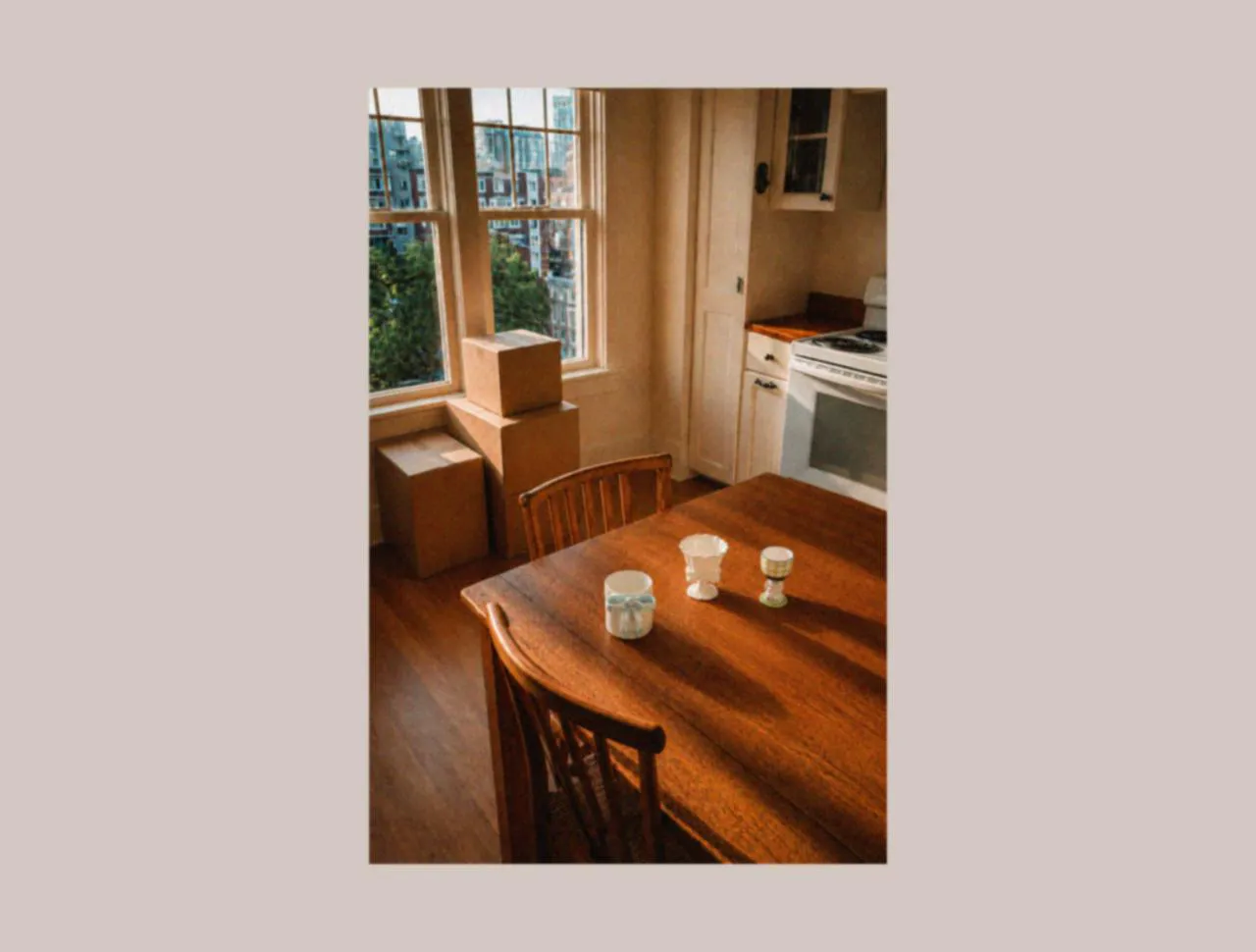 Sunlit first apartment dining table with designer tableware, ice cream cups, and a picnic dinnerware set, reflecting the warmth of a family picnic and everyday living with ceramic dinner plates.